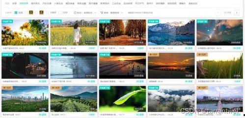 爆料视频素材哪里找,揭秘爆料视频素材的搜集与运用之道